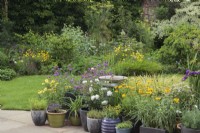 A collection of pots in garden on patio - July