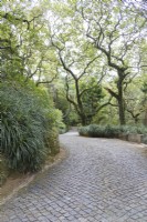 Cobbled path in the park. Parque da Pena, Sintra, near Lisbon, Portugal, September.