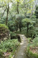 Cobbled path and bridge with ferns in the Queens Fen Valley. Parque da Pena, Sintra, near Lisbon, Portugal, September.