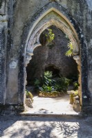 Entrance to the Ruin with ferns in small raised bed. Sintra, near Lisbon, Portugal. September