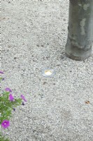 Lamp in the surface of the patio.