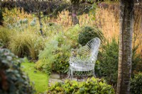Wirework bench framed by shrubs and grasses in a country garden in November