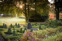 The Slate Garden, designed by Elizabeth Banks, using a number of different varieties of box and Lonicera nitida at Hergest Croft, Herefordshire in October