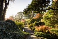 Path through the rock garden passing ferns, at Hergest Croft Gardens, Herefordshire in October