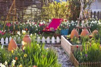 Vegetable beds and spring flowers - daffodils and tulips.