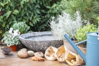 Bulbs, wide container, plants, stones, crocks, compost scoop and a watering can laid out on the ground