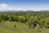View of rolling meadows, open woodland and distant, forest-covered mountains