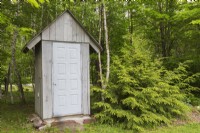 Grey and white storage shed in backyard garden bordered by deciduous and coniferous trees in spring - May