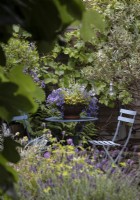 Small metal table with chairs and decorative shallow planted pot with Sanvitalia, trailing Petunias and Lobelia