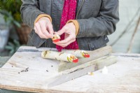 Woman placing the thin wooden ovals and peppercorns on the sticks as noses and eyes