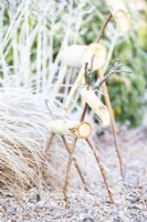 Birch reindeer next to frosted grass