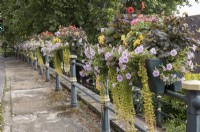 Decorative planting in containers suspended on railings.  Great Malvern, Bellevue Terrace