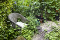 An old wicker chair provides a place to rest and contemplate the garden, quickly becoming a part of the garden itself as plants grow up around it. Come Cottage garden. NGS garden. Devon. July. Summer.