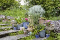 Varying pots in different sizes and colours and plants sit at the bottom of steps where they widen, in a cottage style garden, bringing colour and interest. July. Summer.
