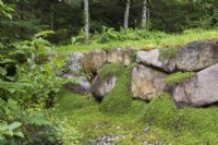 Retaining rock wall with Thymus serpyllum - Wild Thyme in backyard garden in summer, Quebec, Canada - August