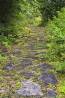 Flagstone path bordered by deciduous shrubs in backyard garden in summer, Quebec, Canada - August