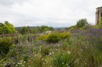 Border at the American Museum Garden - Bath - August