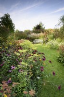 Border full of herbaceous perennials and grasses at Highfield Farm in August including patrinia and echinaceas.