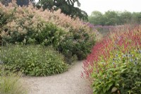 Pathway through the Floral Labyrinth at Trentham Gardens - September