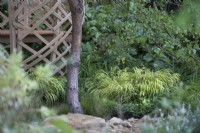 Guangzhou China: Guangzhou Garden. Designers: Peter Chmiel and Chin-Jung Chen. Geodesic Structure, lattice-work structures for sitting made from bamboo, Phyllostachys edulis. Best Show Garden award RHS Chelsea Flower Show 2021 