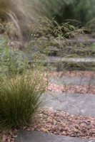 Gravel and stone pathway, interplanted with grasses