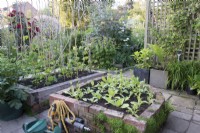 Vegetable garden area with raised beds made of brick and wooden sleepers and slab paths