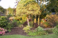 Garden view of terraced shrub beds and bark chipping path leading to gate 