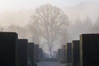 View along long borders at Rosemoor Gardens in winter