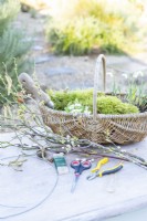 Hazel twigs, Pussy willow twigs, pine cones, Snowdrops, Mossy saxifrage, moss, string, thin and thick wire, scissors and pliers laid out on a wooden surface