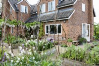 Raised beds in a front garden with hazel plant supports in June