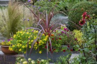 Trough planted with a Phormium tenax 'Sundowner', New Zealand flax, amidst red and yellow Calibrachoa Million Bells Series.
