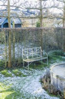 View of walled town garden in winter with box topiary and pleached field maples. Wrought iron garden bench, raised circular pond covered with wire mesh to protect fish from Herons. January