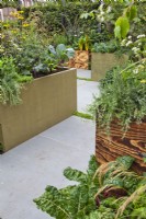 Contemporary kitchen garden with raised beds. The Parsley Box Garden, Chelsea Flower Show 2021
