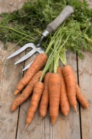 Carrot 'Marion' on wooden table
