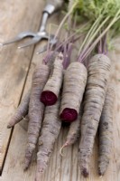 Carrot 'Purple Sun' on wooden surface
