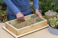 Step-by-Step Making a Succulent Picture. Step 13: place inner dividers, cut to size from oil impregnated hardboard