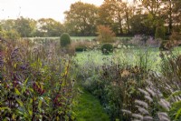 A grass path in the Long Border is edged in a haze of fennel, Verbena bonariensis and V. hastata, mingling with pennisetum and coneflower seedheads.