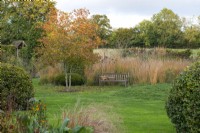 A bench is backed by a line of Molinia caerulea subsp. caerulea 'Heidebraut'. On the right, a camomile mound. On the left, Crataegus laevigata, the Midland Hawthorn.