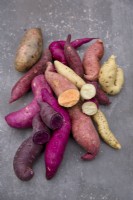 Collection of different sweet potato varieties on stone background