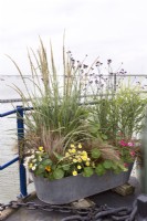 Galvanized metal container with mixture of grasses, annuals and perennials on house boat garden