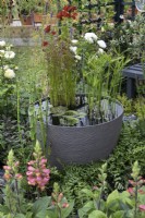 'From Hippocrates to Vaccines' at BBC Gardener's World Live 2021 - pond in a large pot set amonst mixed planting