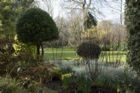 Grasses and dogwood in a border in John's Garden at Ashwood Nurseries - Kingswinford - Spring