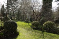Borders with evergreen shrubs in John's Garden at Ashwood Nurseries - Kingswinford - Spring