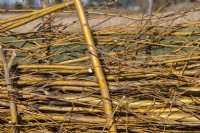 Fence barrier on an allotment made from waste willow (salix) branches and twigs after pollarding