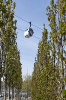 Almere The Netherlands 19th April 2022
Floriade Expo 2022. A ten-yearly botanical garden festival and exhibition, this year taking place in Almere, Flevoland. 
Cablecar seen through a row of acer platanoides 'Mauritz upright'