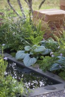 The Communication Garden. Designer: Amelia Bouquet. Water rill with borders planted with Brunnera macrophylla 'Jack Frost', ferns and ornamental grasses. RHS Hampton Court Palace Festival 2021.