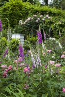 View of garden in summer with foxgloves, Rosa  'Boscobel' and a beehive June
