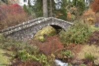 Autumn colour surrounding the Swiss Bridge and Scrape Burn at Dawyck Botanic Garden, Peebleshire, Scotland