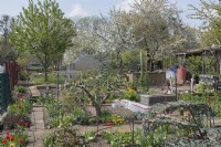 Allotments in Spring - Torgau, Sachsen, Germany 
