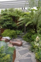 A sunken courtyard in small contemporary garden is enclosed in tree ferns, Dicksonia antarctica, hostas, ferns, acers, a wheel tree and bamboo.
